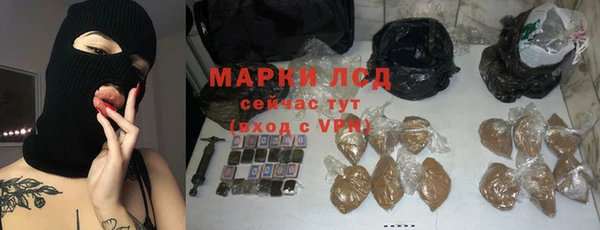стафф Алзамай