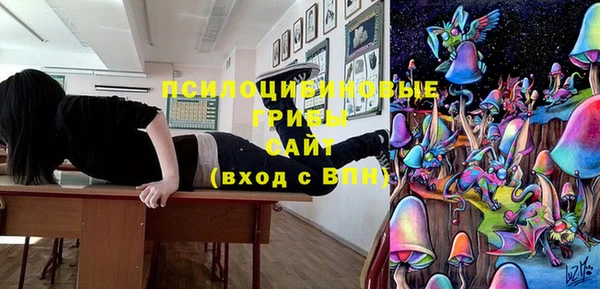 синтетический гашиш Алексеевка