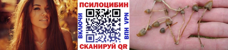Псилоцибиновые грибы Psilocybe  Чебаркуль 